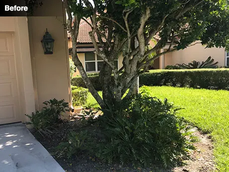 The right side of the garage before work, with the ligustrum against the corner