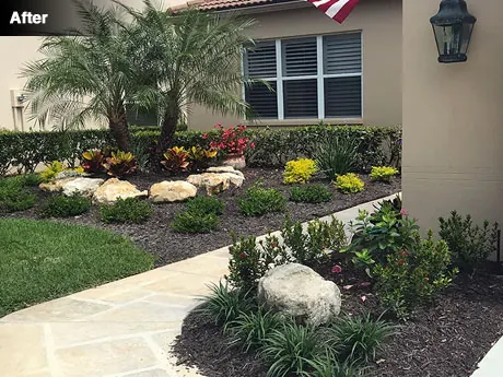 The left side of the garage after planting with liriope, hibiscus and dwarf ixora