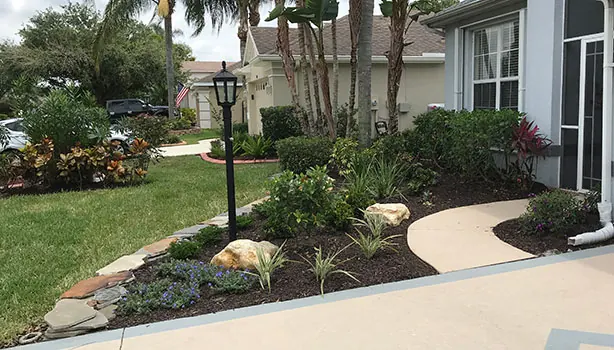 A front garden with a Bismarck palm, boulders and fresh low-maintenance planting