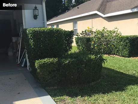 The bed to the right of the garage before work