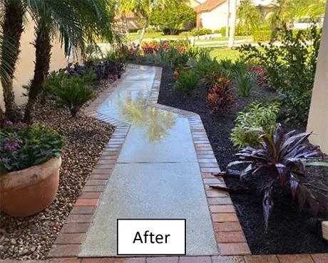 The front entry before work, with tired planting and poor drainage