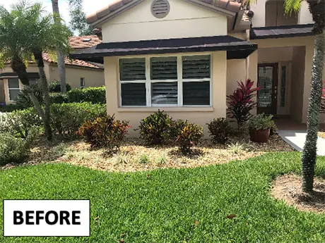 The front of the house before work, with overgrown Aztec grass and tired hibiscus