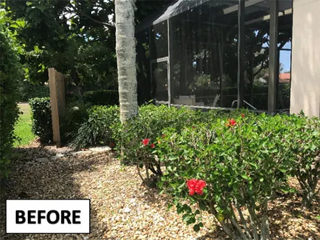 The left front corner before work, with mismatched planting