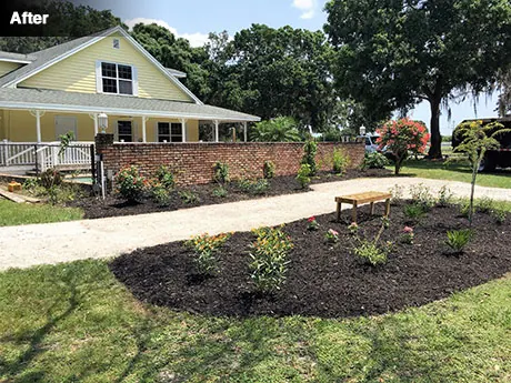 The finished wheelchair accessible Butterfly Garden in flower