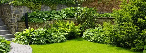 A terraced garden with a stone retaining wall, brick steps, beds of hostas and a paved path beside a lawn